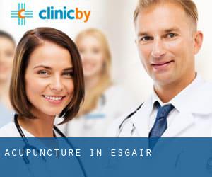 Acupuncture in Esgair
