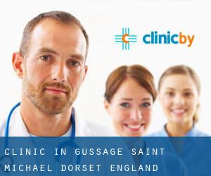 clinic in Gussage Saint Michael (Dorset, England)